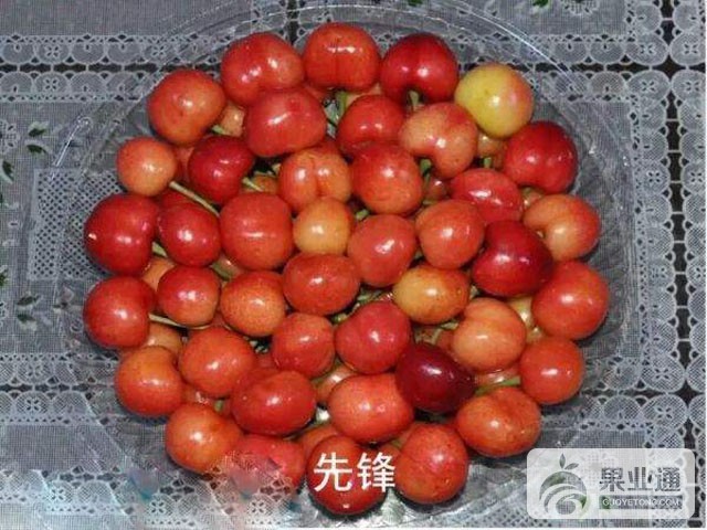 132243dbl0505pe5olhjha.jpg