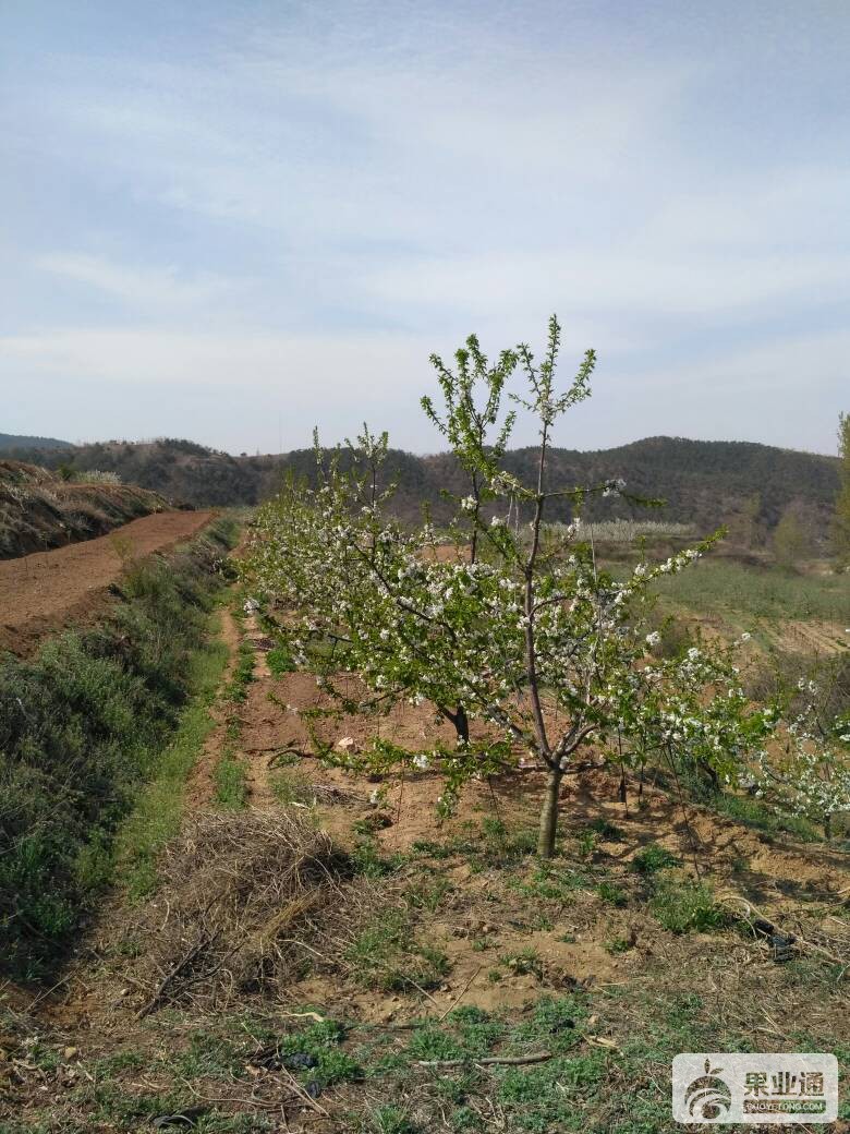 211823ecojqqoo0zdsosoa.jpg
