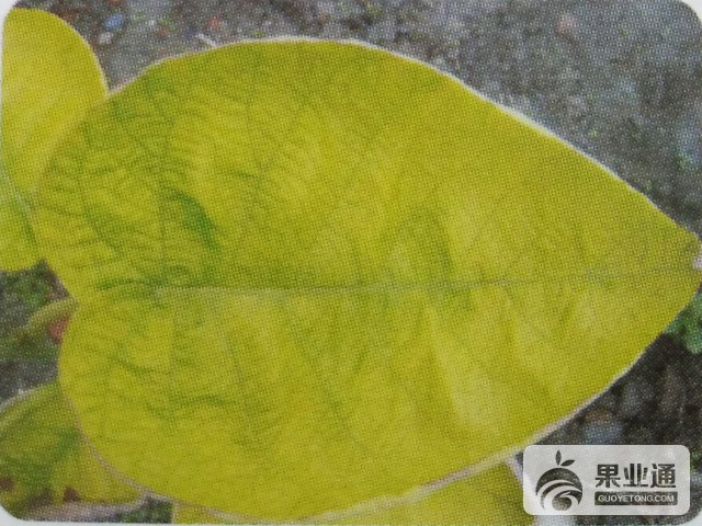 1493105988318.jpg