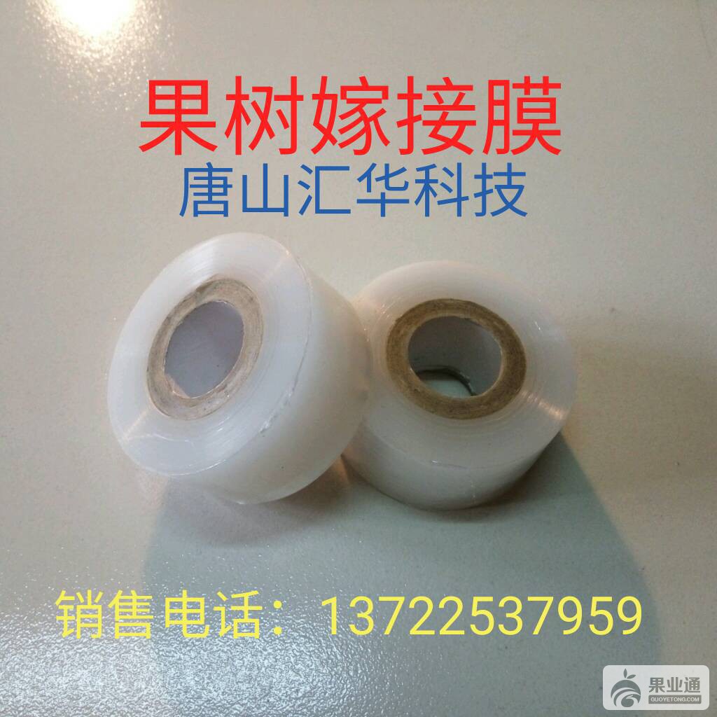 212101w8ufdl8b3le24l2f.jpg