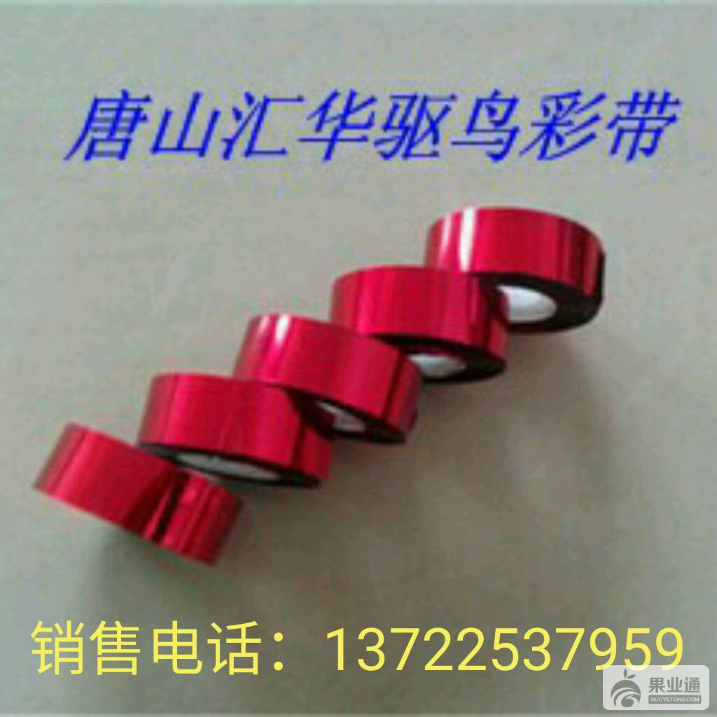 212108gv8q4qzvw9o1vzl8.jpg