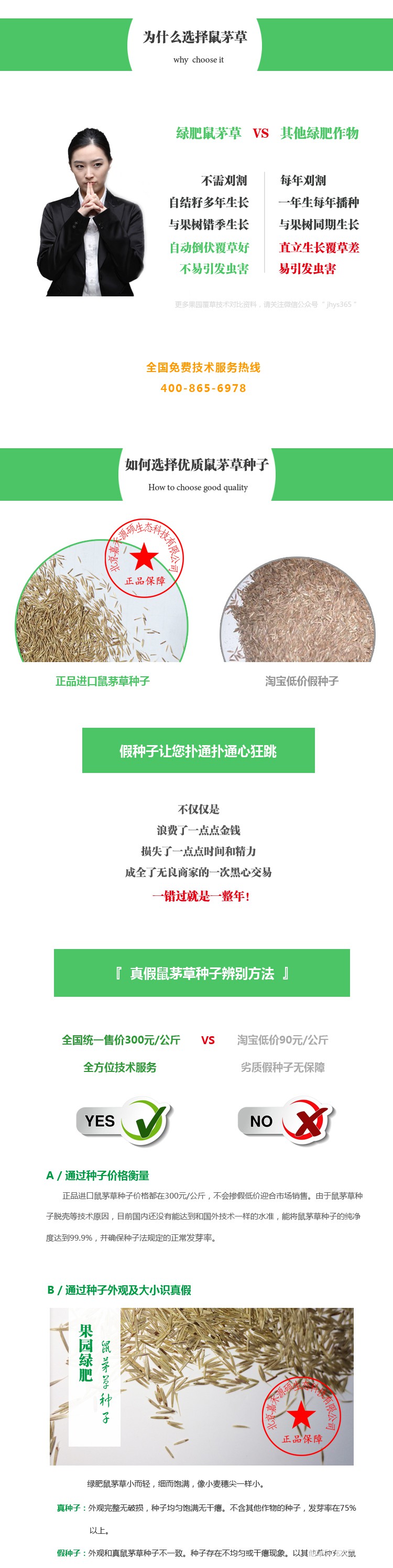 第二版-鼠茅草详情页_04.jpg