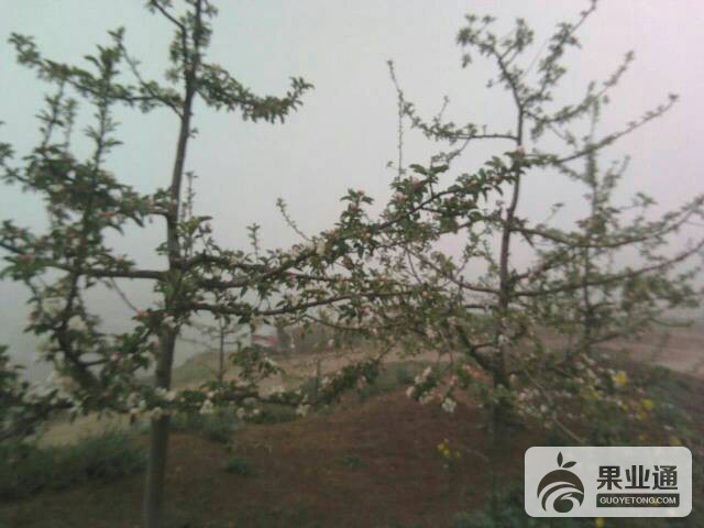 214636y17sms1f238zs818.jpg