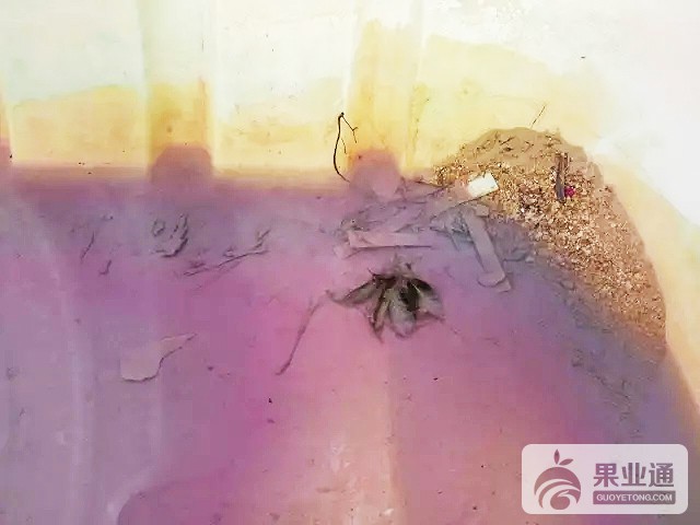 640.webp.jpg