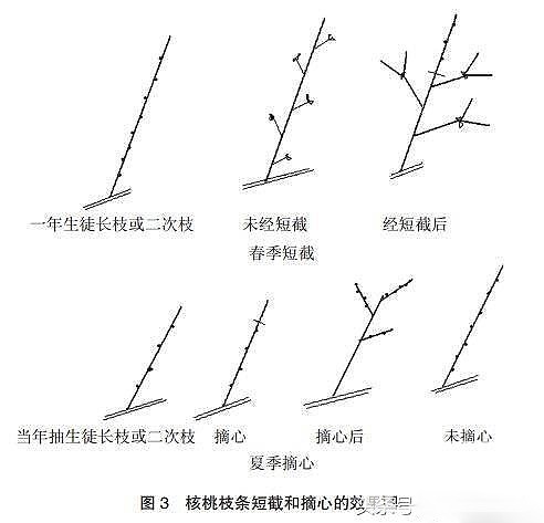 1dc600033622a4dd98c9.jpg