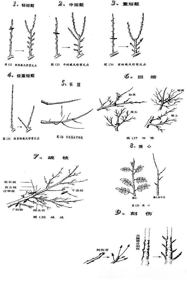 1f7c0005f5e39d51f768.jpg