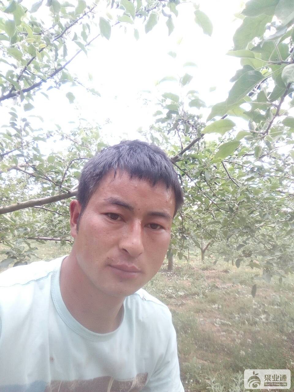 201710gf1zjfc25jfz15ua.jpg