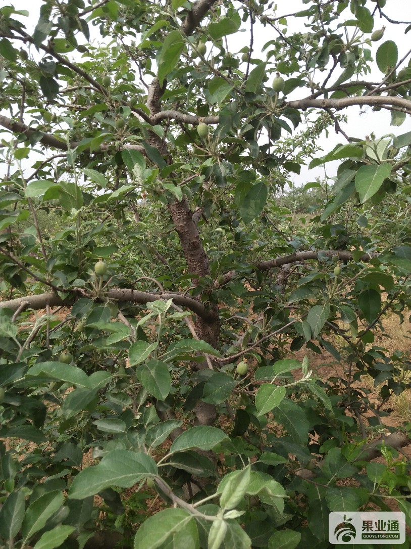 IMG20170511150441.jpg