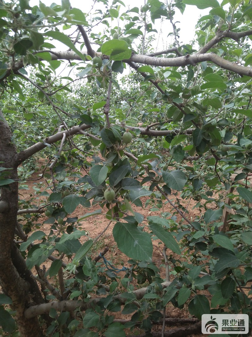 IMG20170511150235.jpg