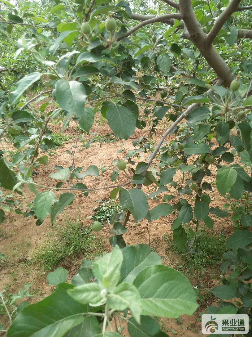 IMG20170511150215.jpg
