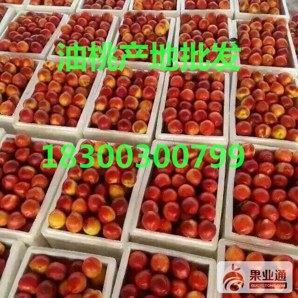 8CC2B8XB00ChRkRlexrN6Ad1vnAAG9nIYZUJU132!600x600_看图王.jpg