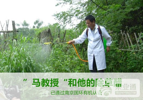 马教授和他的除草醋.jpg