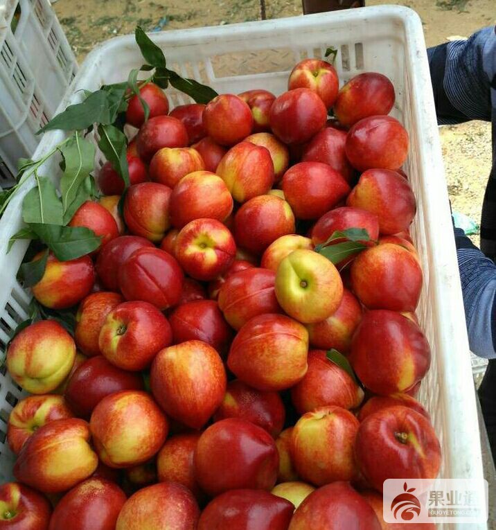 QQ图片20170324171851.jpg