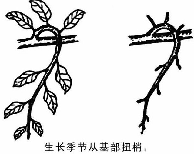 154545j1rutnianuma7uk1.jpg