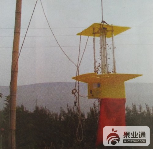 核桃病虫害综合防治技术