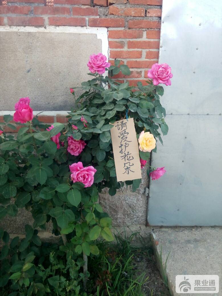 185658kepm9krud8hmkcrm.jpg