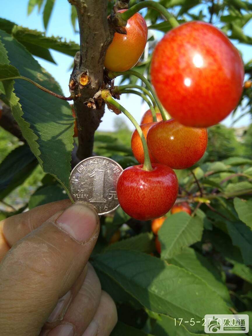 194951bu2jkkqvfbuedu2o.jpg