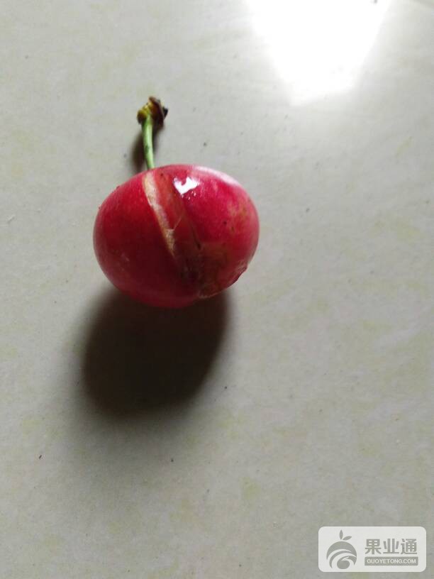 115212efatum1y224ay8t1.jpg