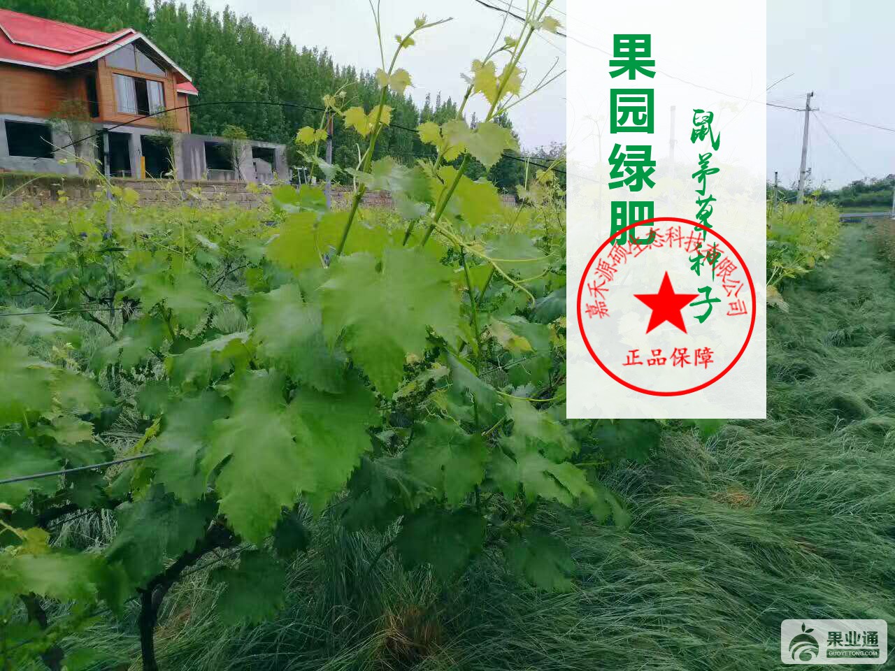 微信图片_20170426153924.jpg