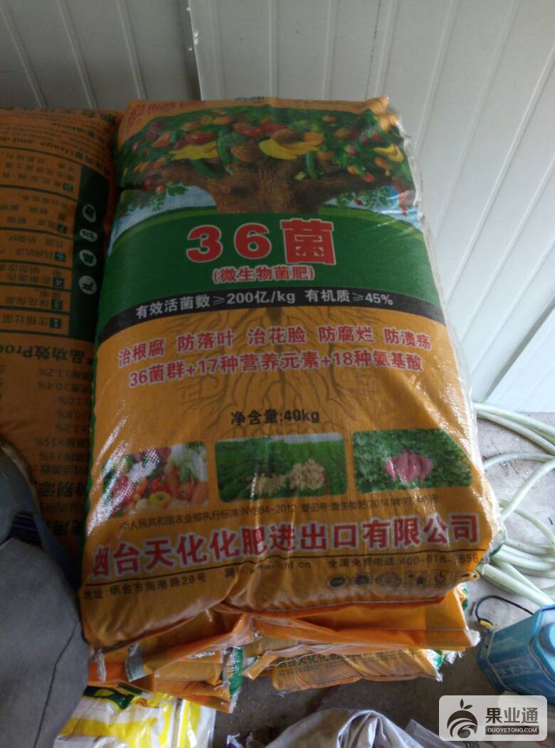 201105ipnm8qm0kwpn00pj.jpg