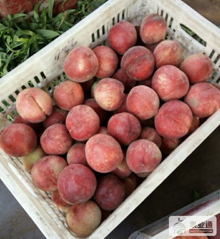 QQ图片20170605090918.jpg