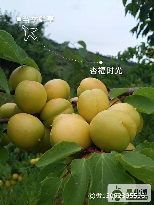 微信图片_20170606195044.jpg