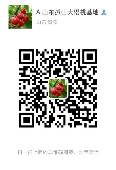 微信图片_20170606195113.jpg