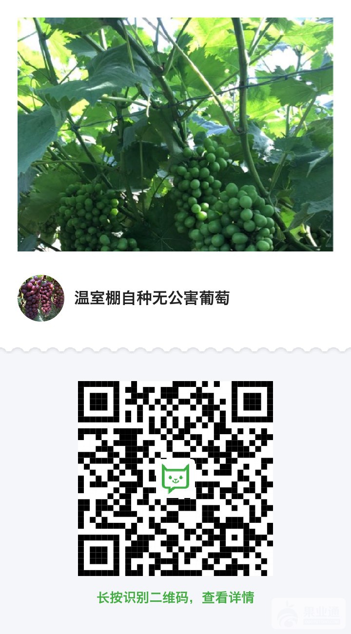 215417jn3ngmay8lfelnhz.jpg