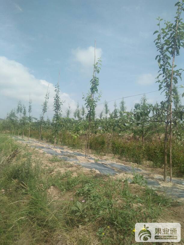 104053app8x5qq4jjdw7pn.jpg