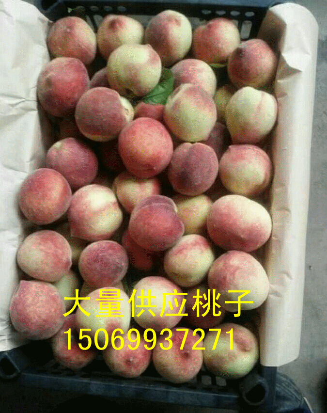 QQ图片20170324171842_副本.gif