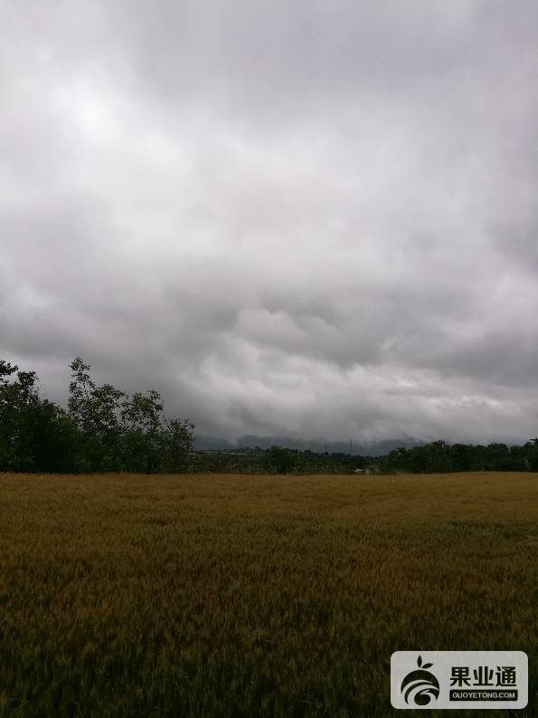 180522imm8spqbmd9abm80.jpg