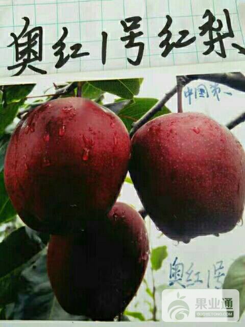 052247tkbk2k5mkssiiiic.jpg