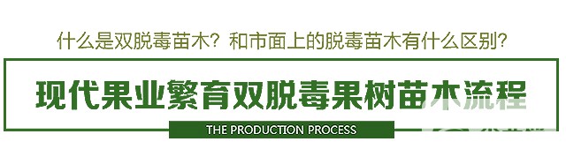 未标题-2.jpg