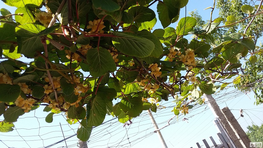 20150524_084512.jpg