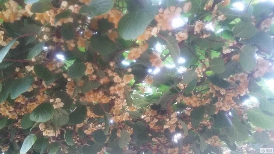 20160520_184407.jpg