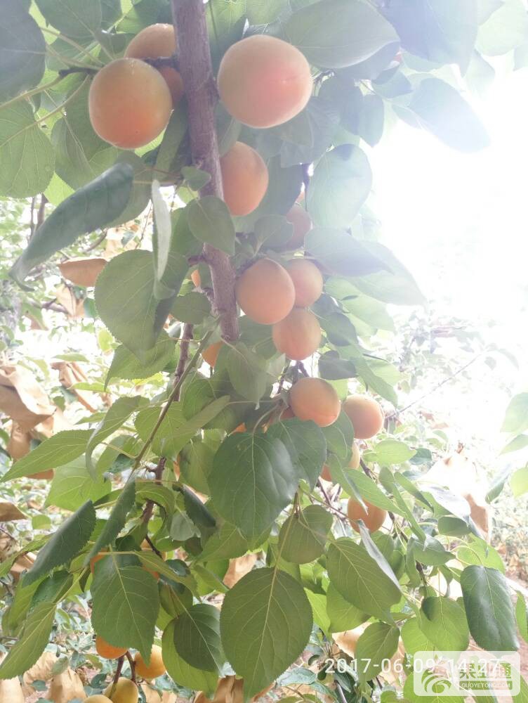 190734zrudjbwffqbldfrr.jpg