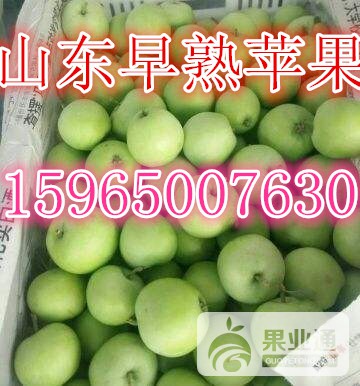 辽伏1_副本.jpg