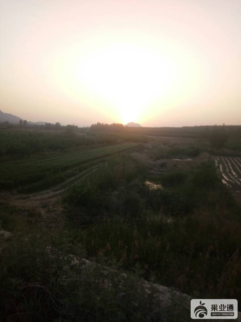 205642m9cvzvc29a9kcrr8.jpg