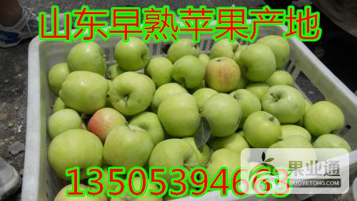 辽伏苹果.jpg