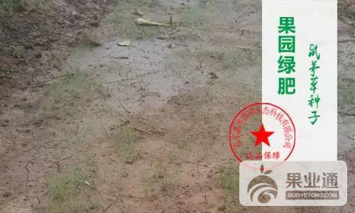 微信图片_20170620134752.jpg