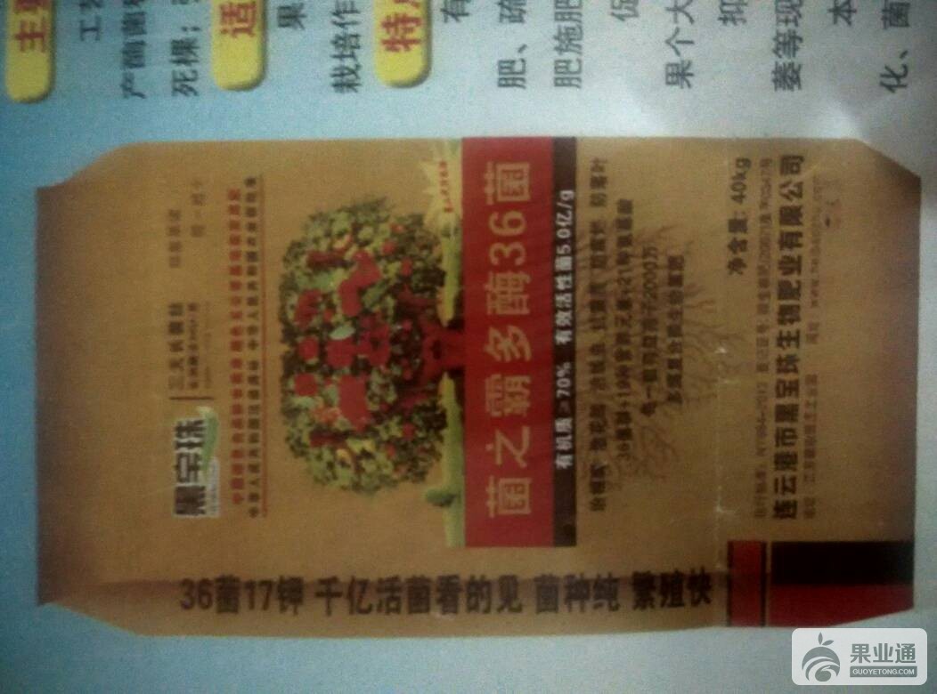 201115l2sl42c3jj99oohh.jpg