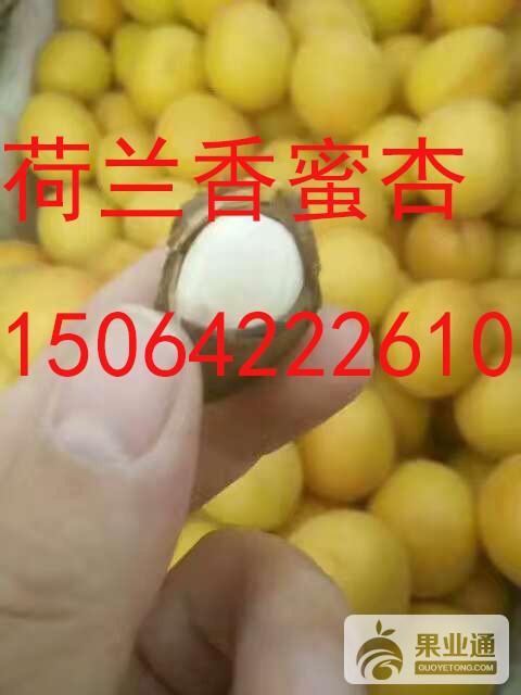 微信图片_201706081515130.jpg