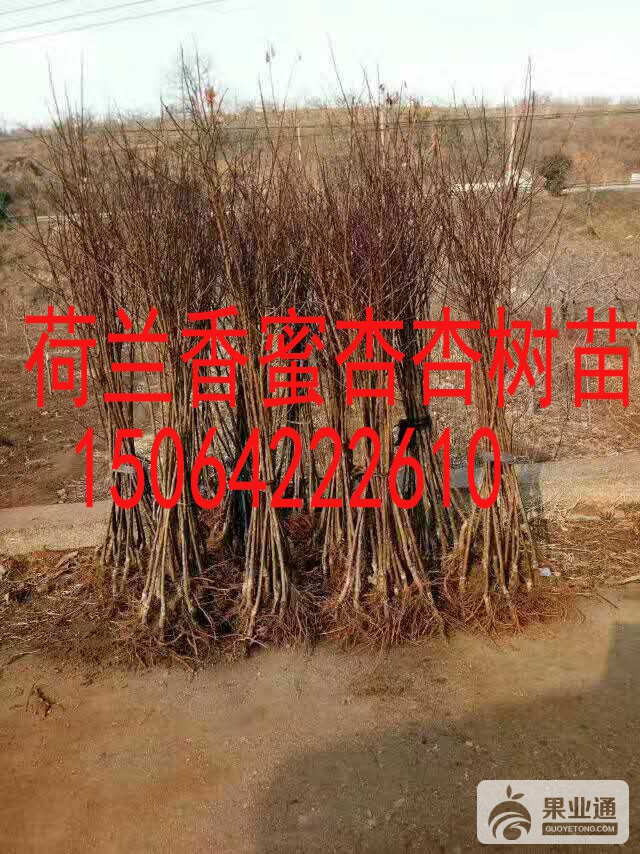 微信图片_201701608155226.jpg