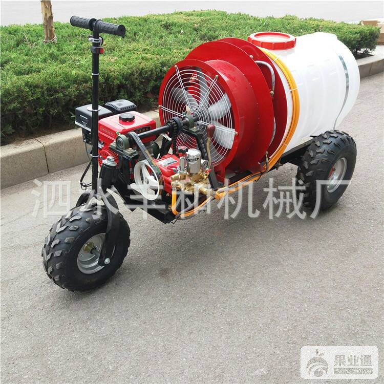 202604mnq54lzh44rkx385.jpg