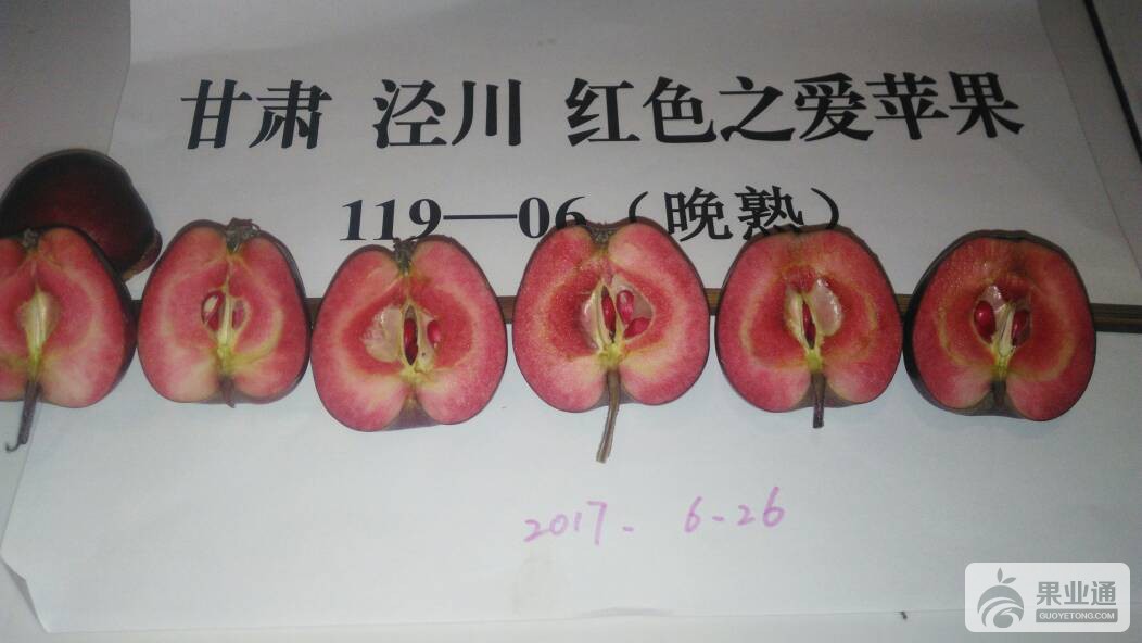 143952pk54yyhys1yet1hk.jpg