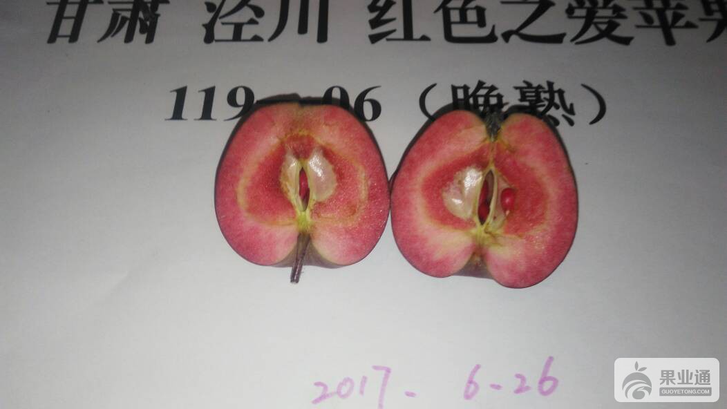 144012tswza2mlrggjlrlc.jpg