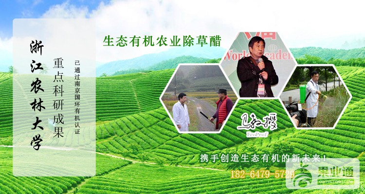 淘宝11.jpg