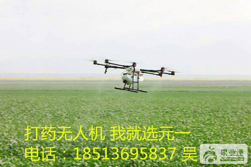 110046nkxetpo3bbqpxblk.jpg