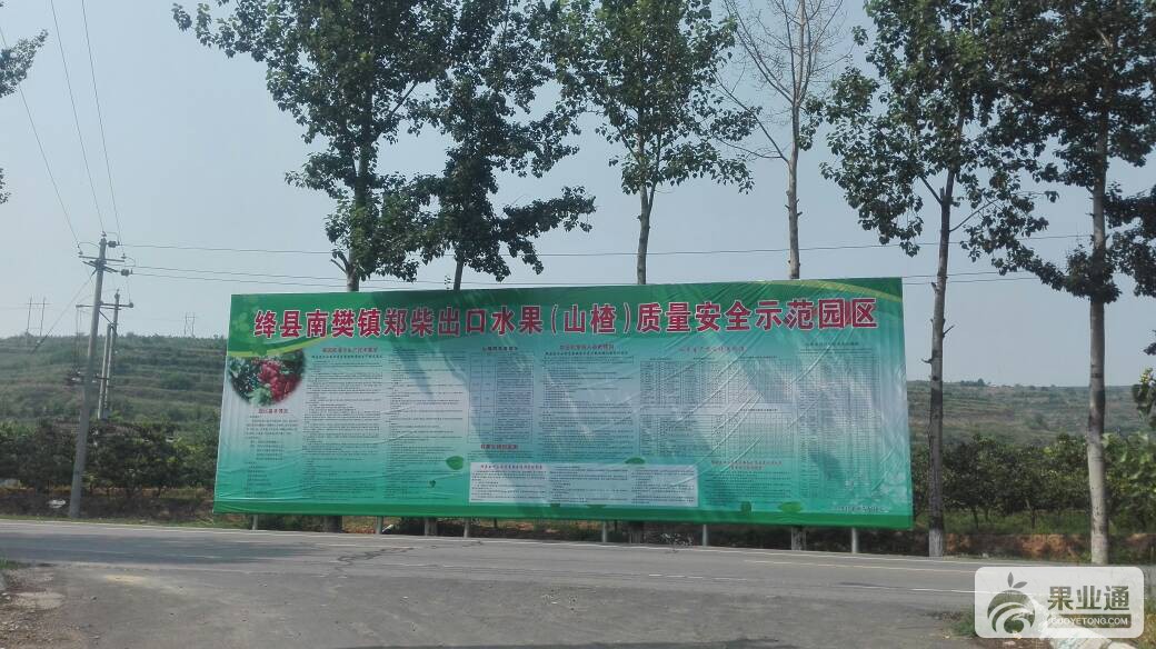 103753wldglwpu4pdpgyu6.jpg