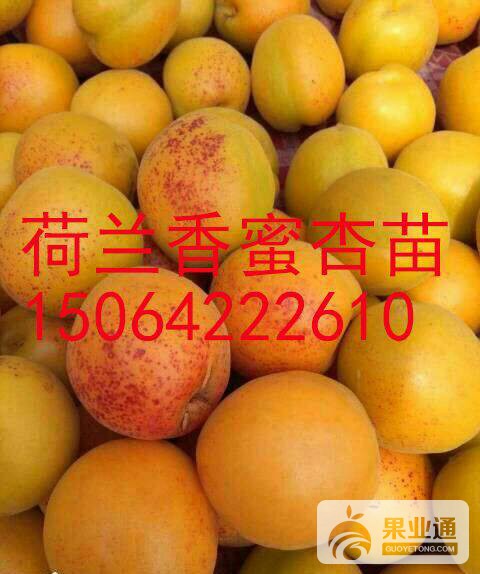 154336eyfa48xz84t8ly27.jpg